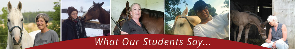 (Link) Students tell their stories about Equine Guelph Online Diploma & Certificate Programs (YouTube)