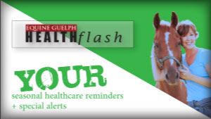 (button) HEALTHflash Seasonal Healthcare Reminders video channel
